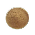 Click Food Grade Fatty Acid Content 25% P.E Pumpkin Seed Extract Powder